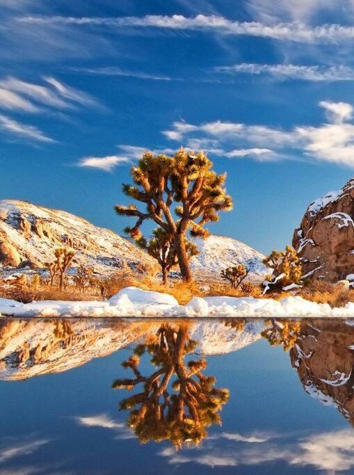 Azteca: Desert Sanctuary In The Paradise Of Palm Springs Vila Exterior foto